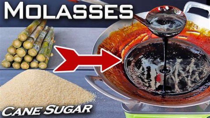 What is cane molasses