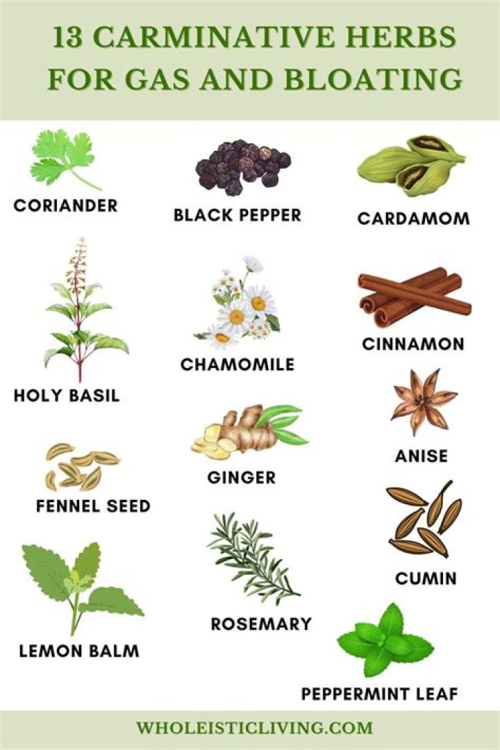 What is carminative property