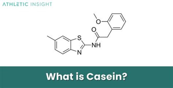 what is casein