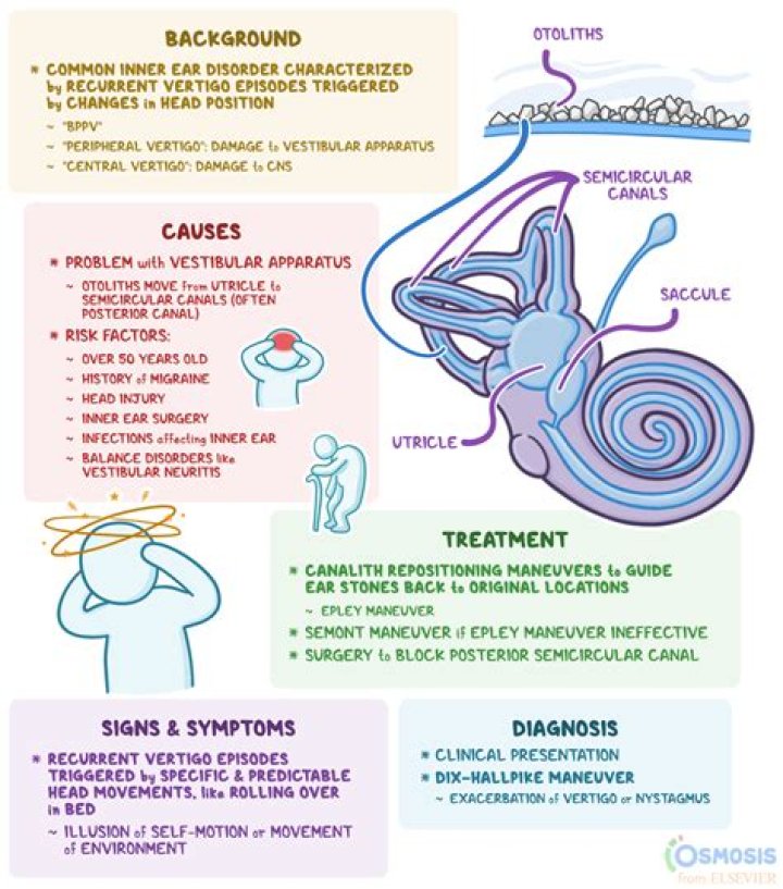 What is central positional vertigo