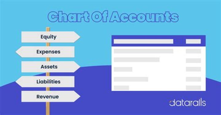 What is Chart of Accounts SAP