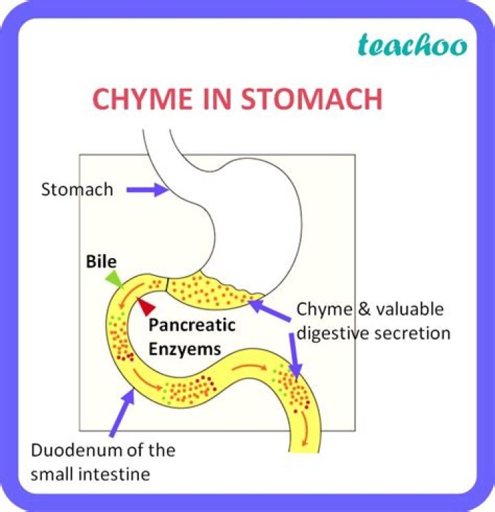 what is chyme