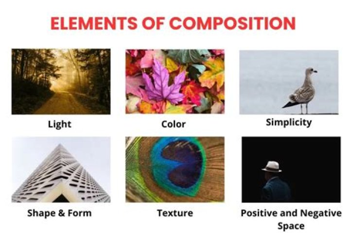 what is composition