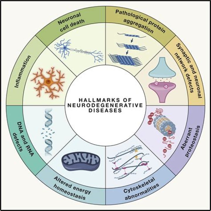 What is considered a neurodegenerative disease