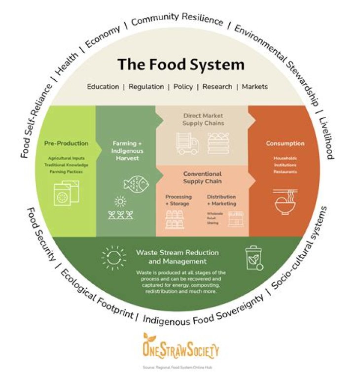 What is conventional food system