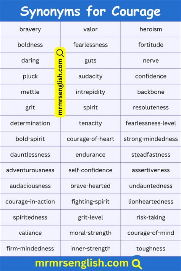 What is courage synonym?