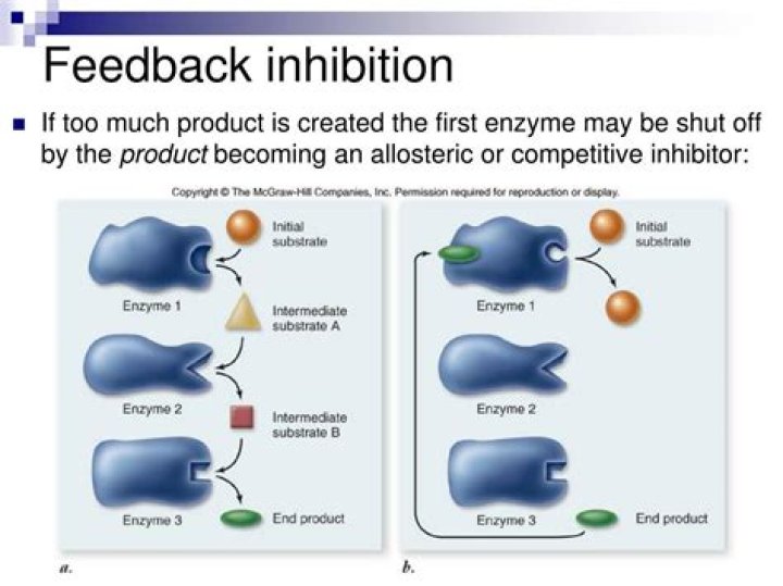 What is cumulative feedback inhibition