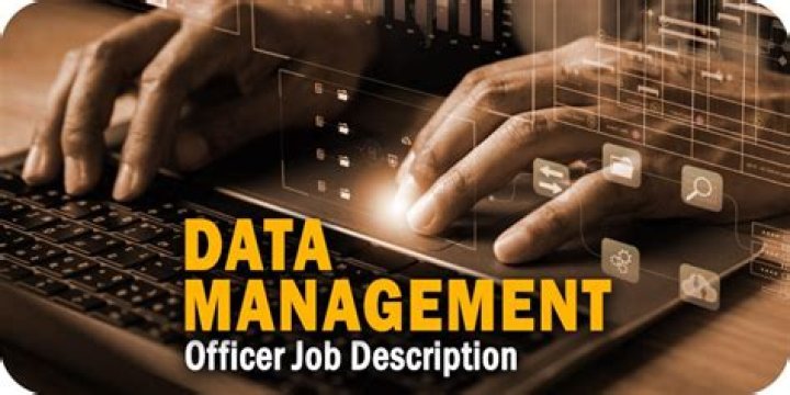 What is data management job description?