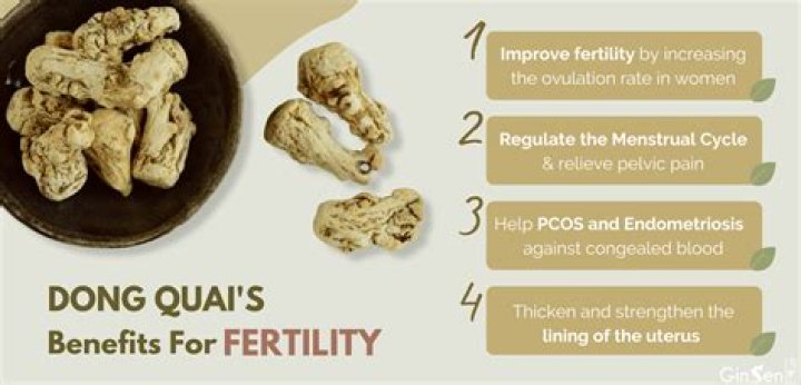 What is dong quai root good for?