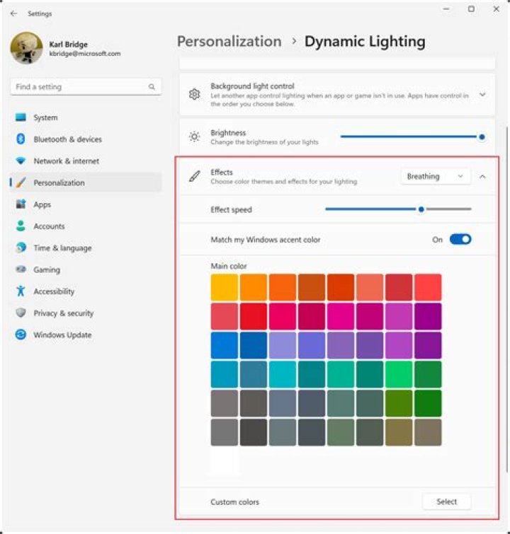 What is dynamic theme?