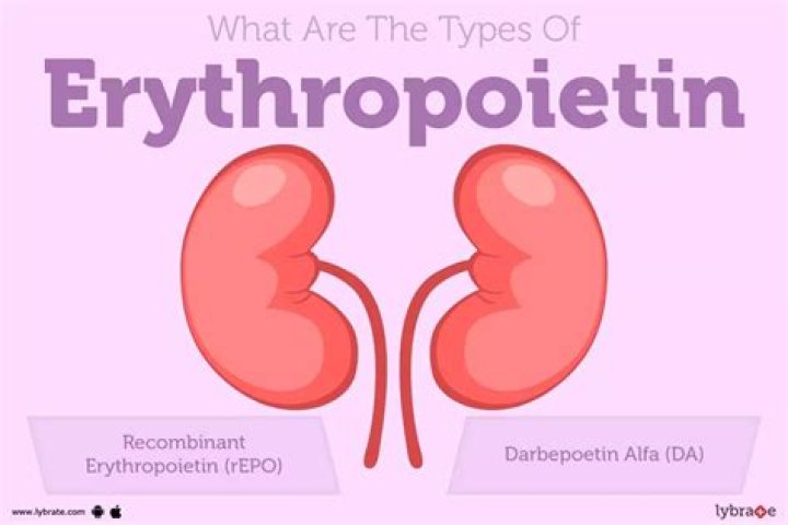 What is EPO kidney