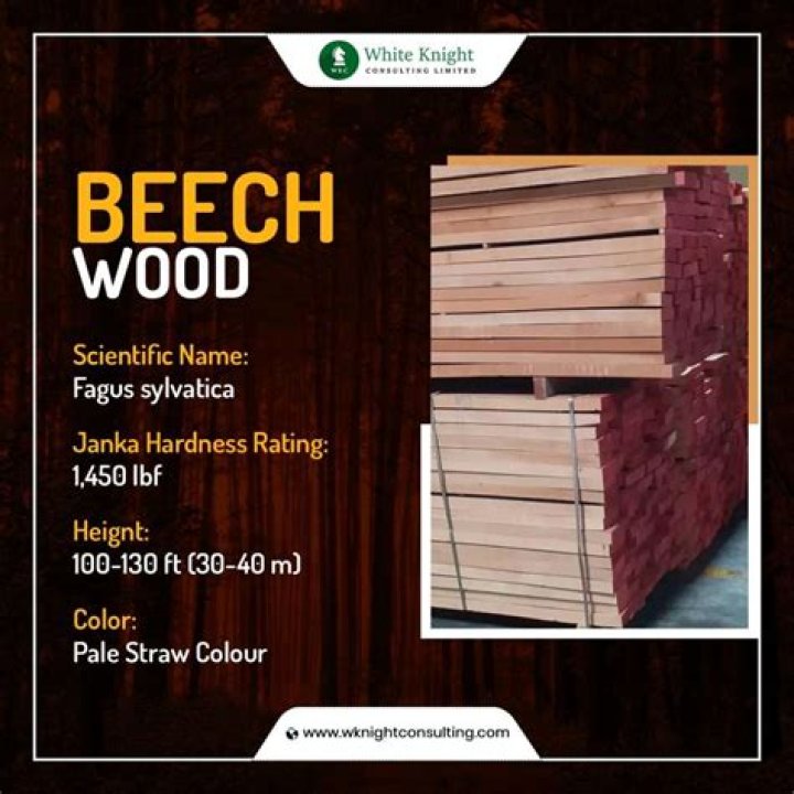 What is European beech wood