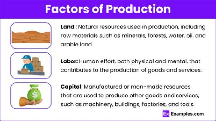 What is F and B production