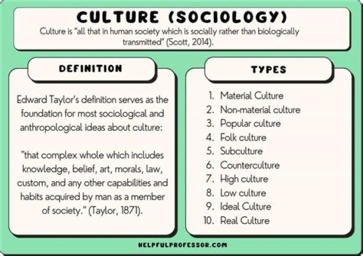 What is formal curriculum in sociology
