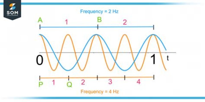 What is frequency SAS