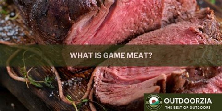 what is game meat