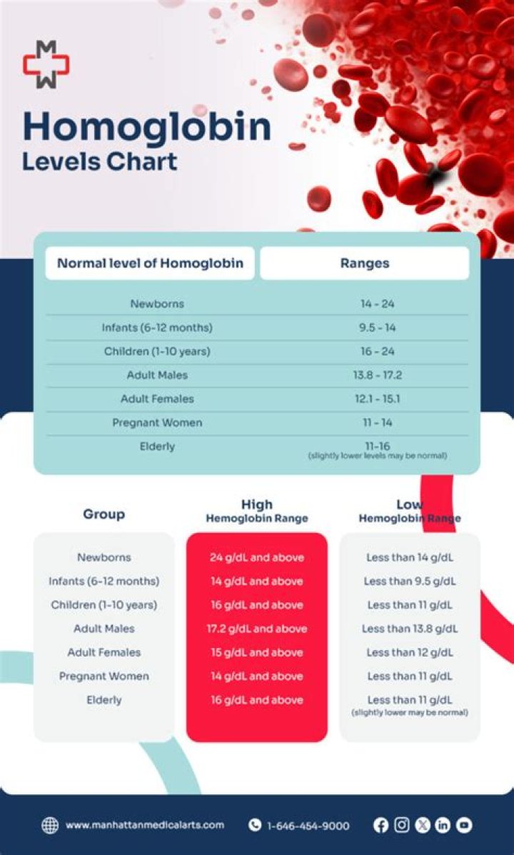 What is hemoglobin medical term?