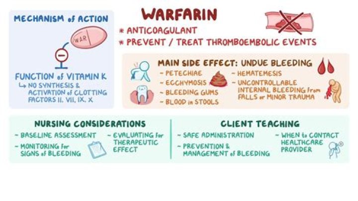 What is heparin and warfarin