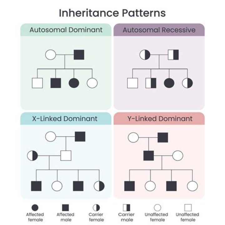 What is horizontal inheritance? | ContextResponse.com