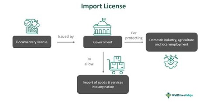 What is import entitlement Licence?