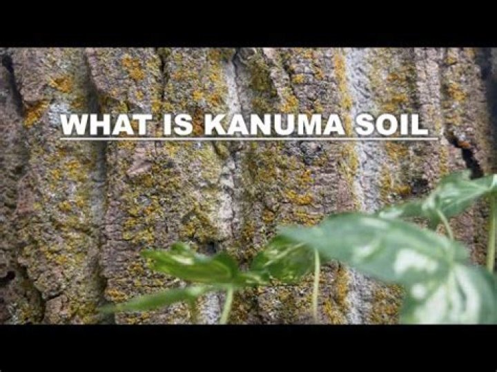 What is Kanuma soil