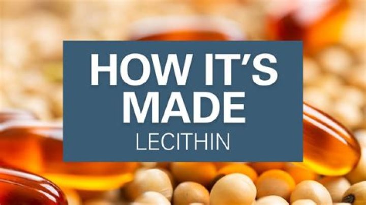 What is lecithin powder made of