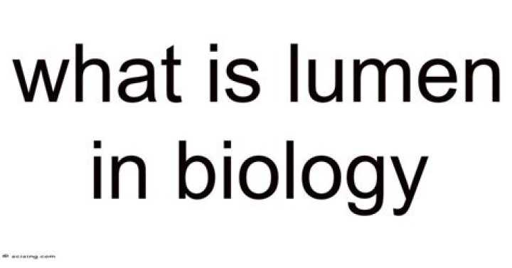 What is lumen in biology?