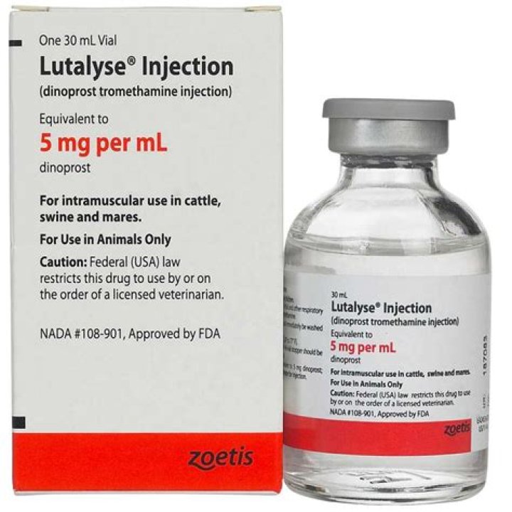 What is Lutalyse injection