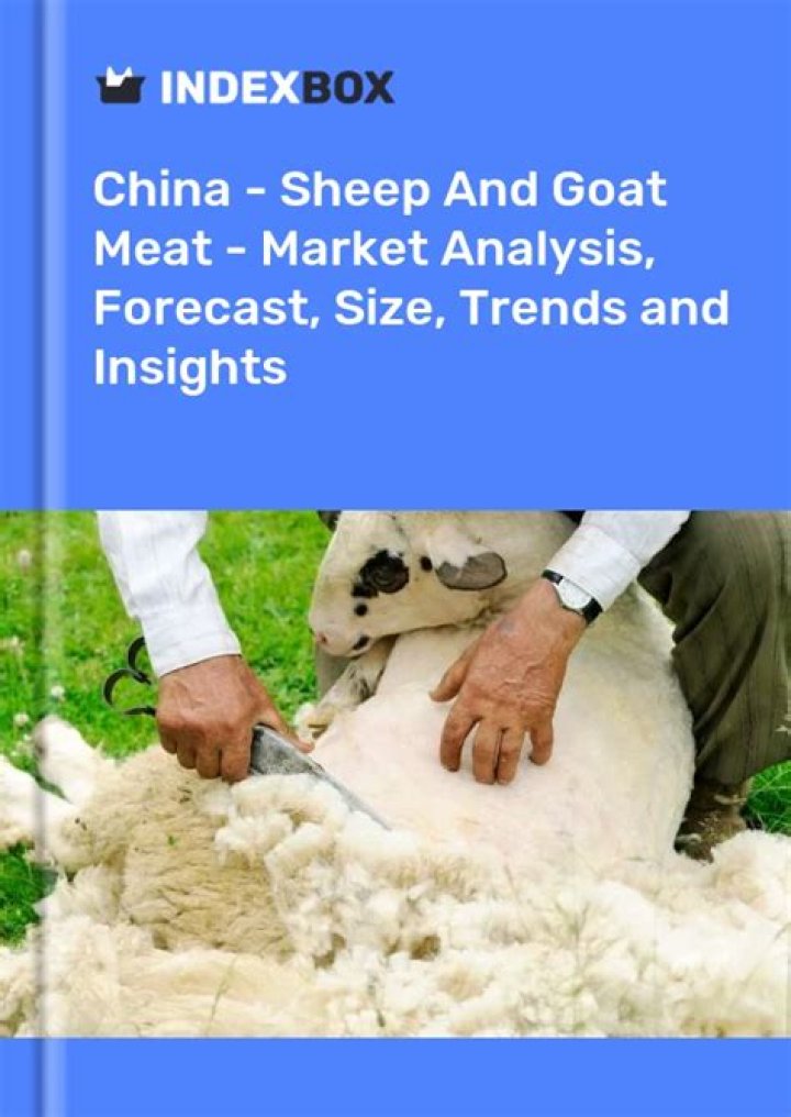 What is market price for sheep