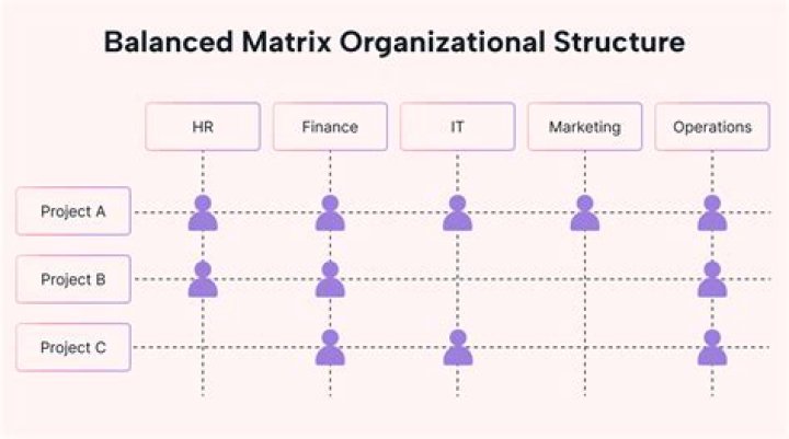 What is matrix organizational structure example