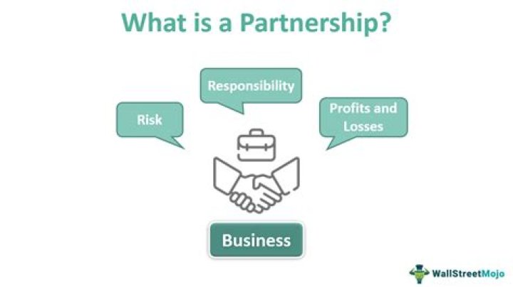 What is meant by partnership at will