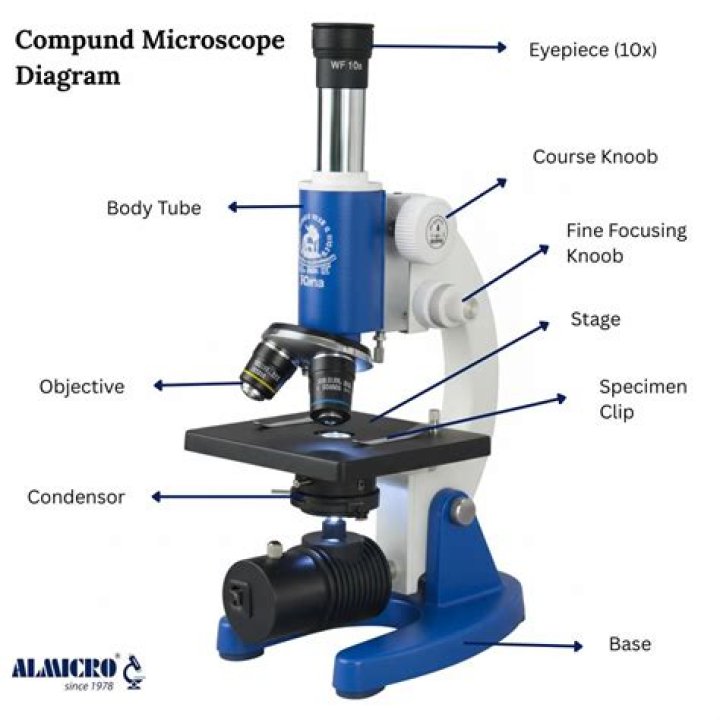 what is microscope