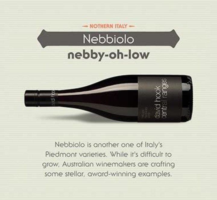 What is Nebbiolo similar to