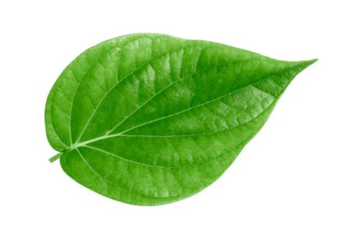 What is oblong leaf