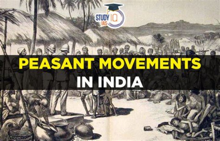 What is Peasant Movement India