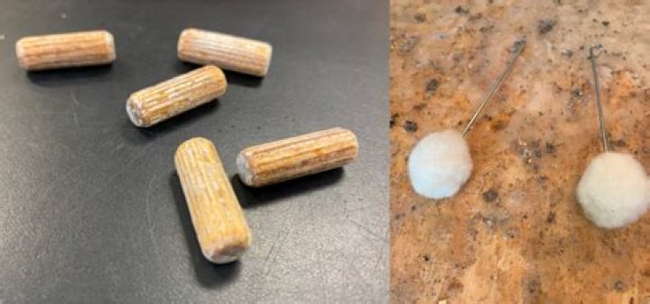 What is plug spawn? | ContextResponse.com