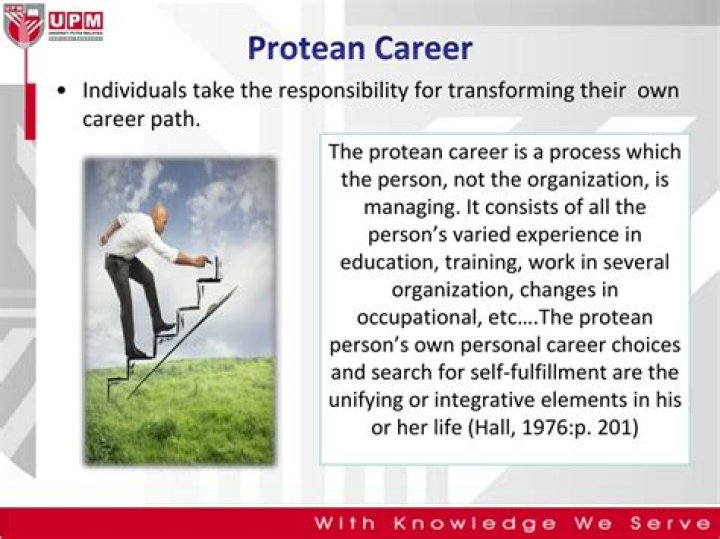 What is protean career