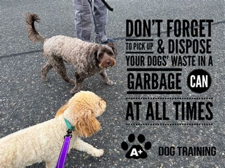 What is PSA dog sport