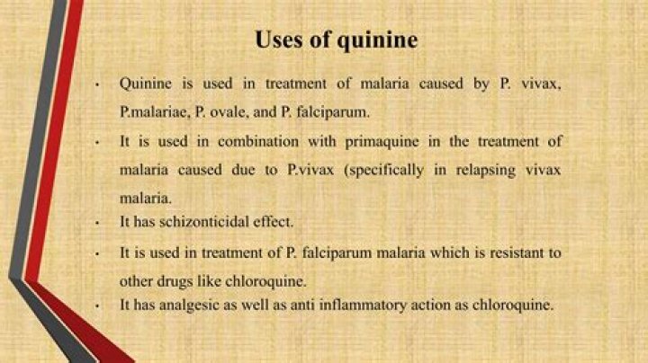 What is quinine derived from