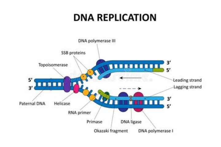 What is replication factor in Cassandra