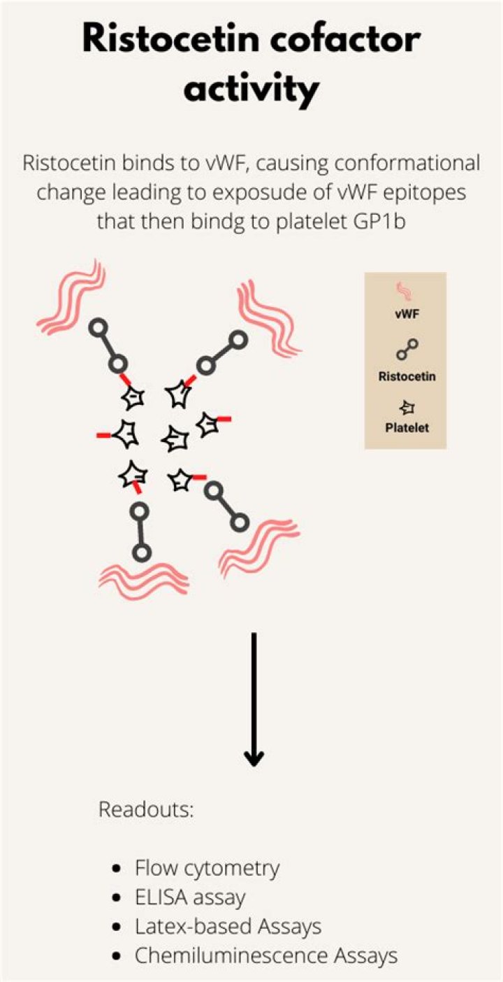 What is ristocetin cofactor