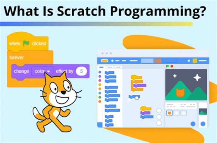 what is scratch