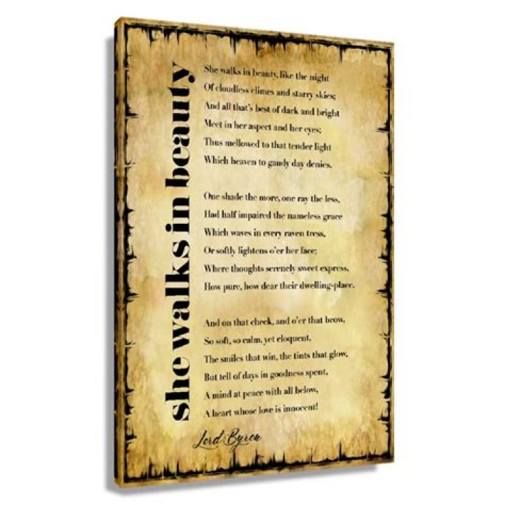 What is she walks in beauty like the night about