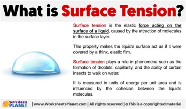 What is surface tension easy definition?