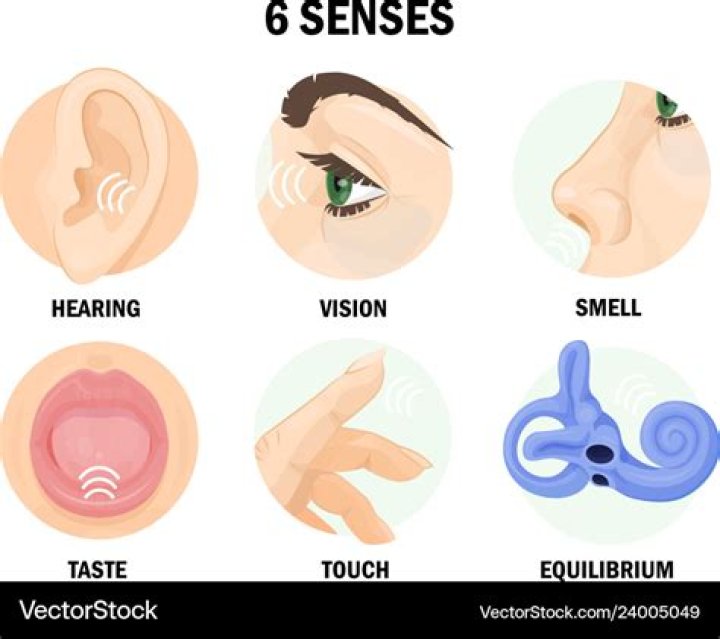 what is the 6th sense called