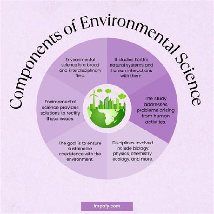 What is the approach of environmental studies?