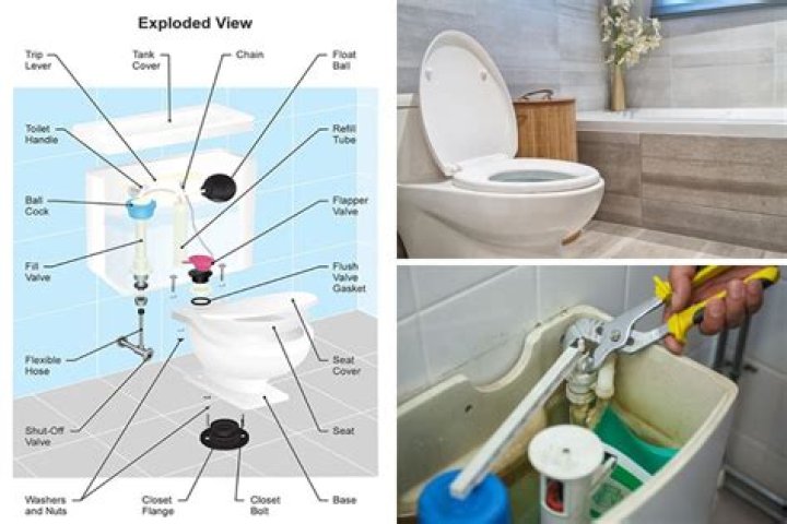 what is the back of the toilet called