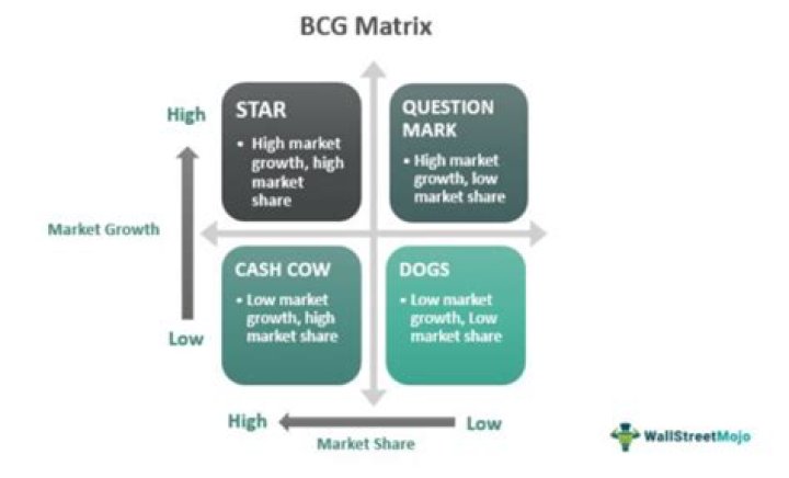 What is the BCG model in marketing