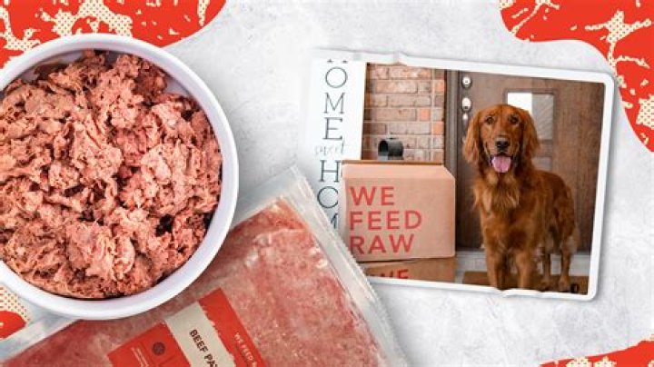 What is the best meat dog food?