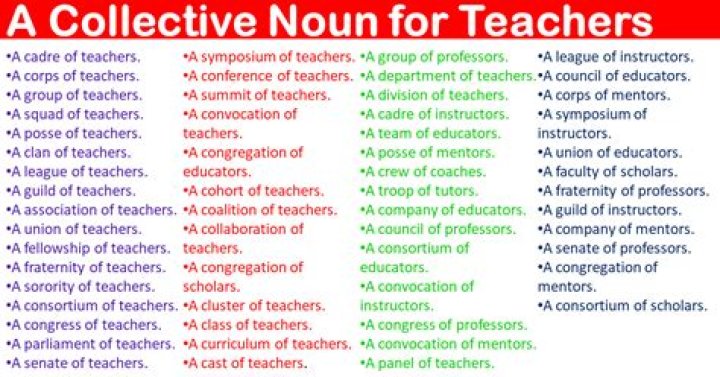What is the collective noun for teachers?